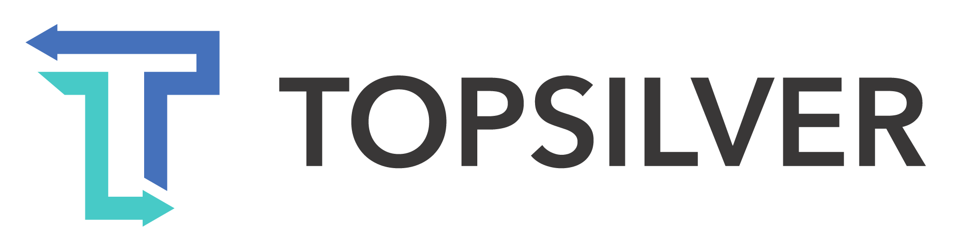 Topsilver logo